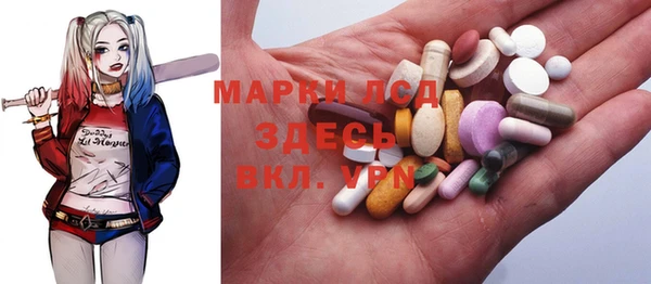 прущие грибы Дмитров