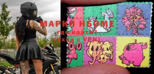 прущие грибы Дмитров
