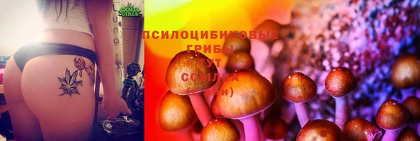 спиды Дмитровск