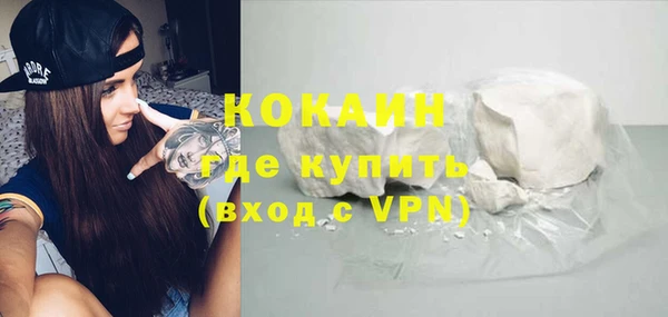 прущие грибы Дмитров