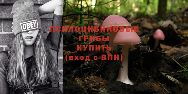 гидра Дмитриев