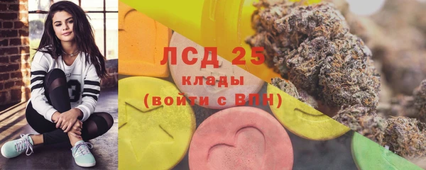 прущие грибы Дмитров