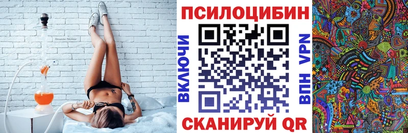 Купить  Кириллов  Псилоцибиновые грибы Psilocybe 
